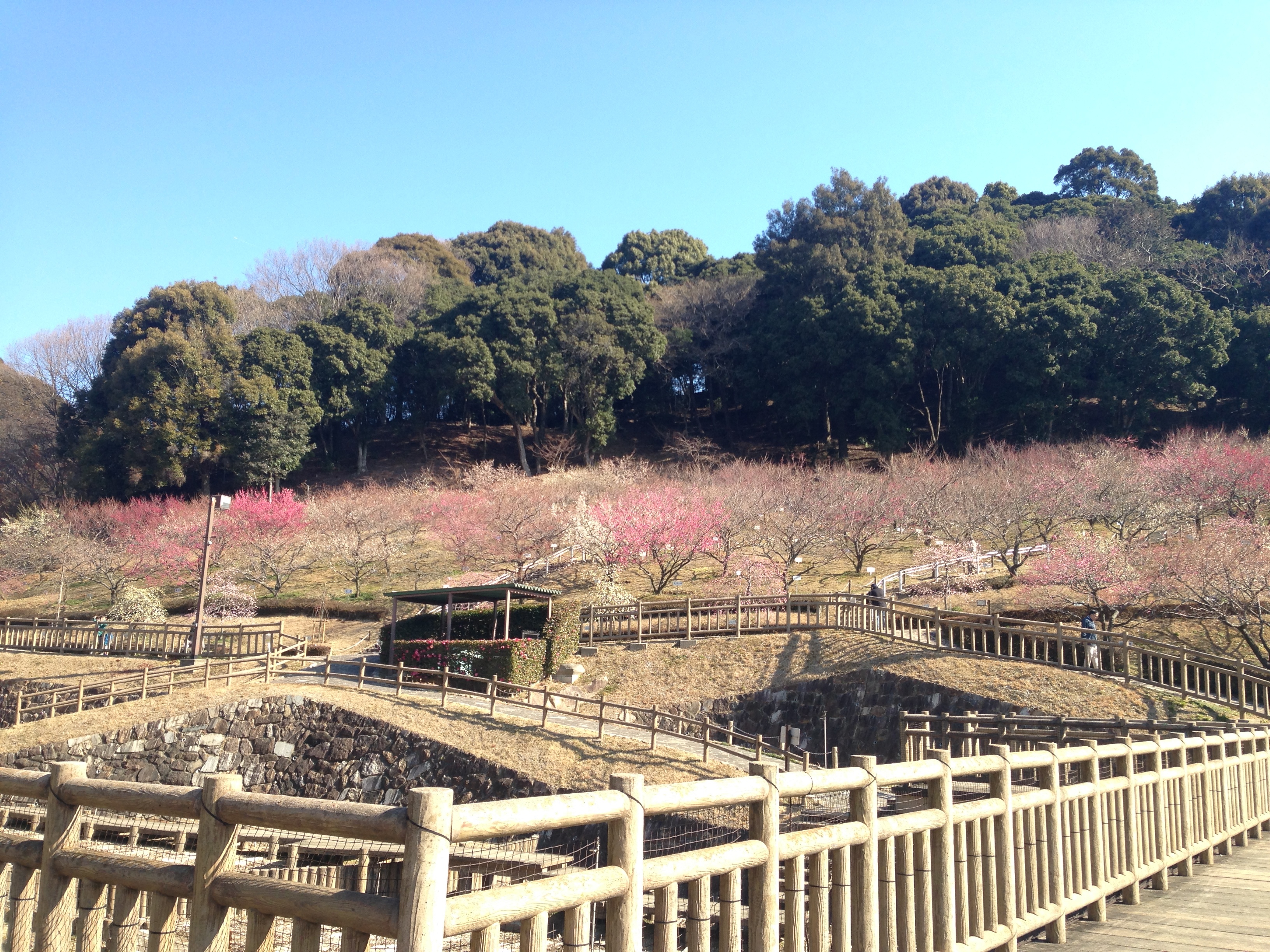 愛知県豊川市 赤塚山公園 ぎょぎょランド 浜松よろしく